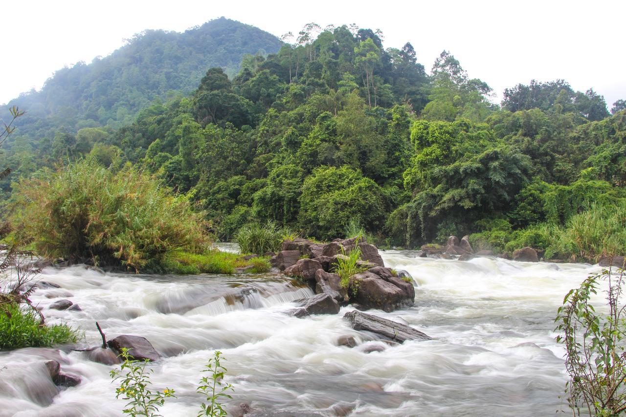 Adventure Base Camp Hotel Kitulgala Exterior photo