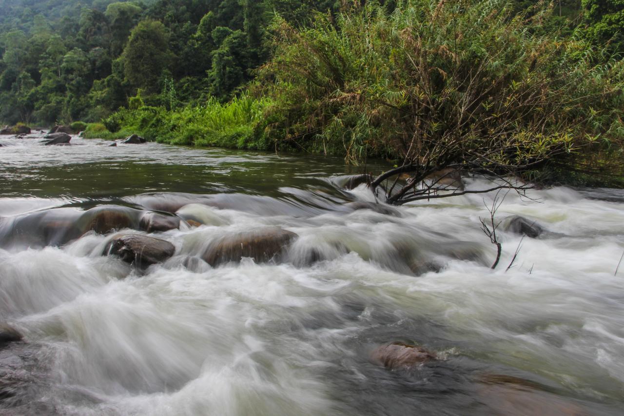 Adventure Base Camp Hotel Kitulgala Exterior photo